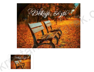 Dárek do obálky - sada přání a magnetu, motiv "Děkuji, že jsi"