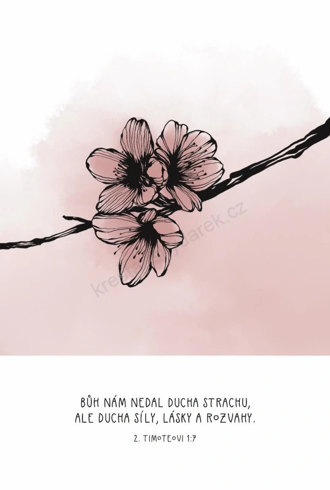 Sada karet „Slovo Boží na očích“