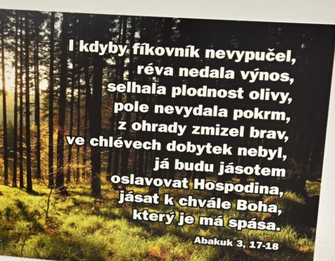 Dárek do obálky - sada přání a podtácku, motiv "I kdyby fíkovník nevypučel... "