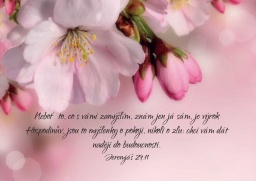 Moudrá magnetka "Neboť to, co s vámi zamýšlím, znám jen já sám ..."