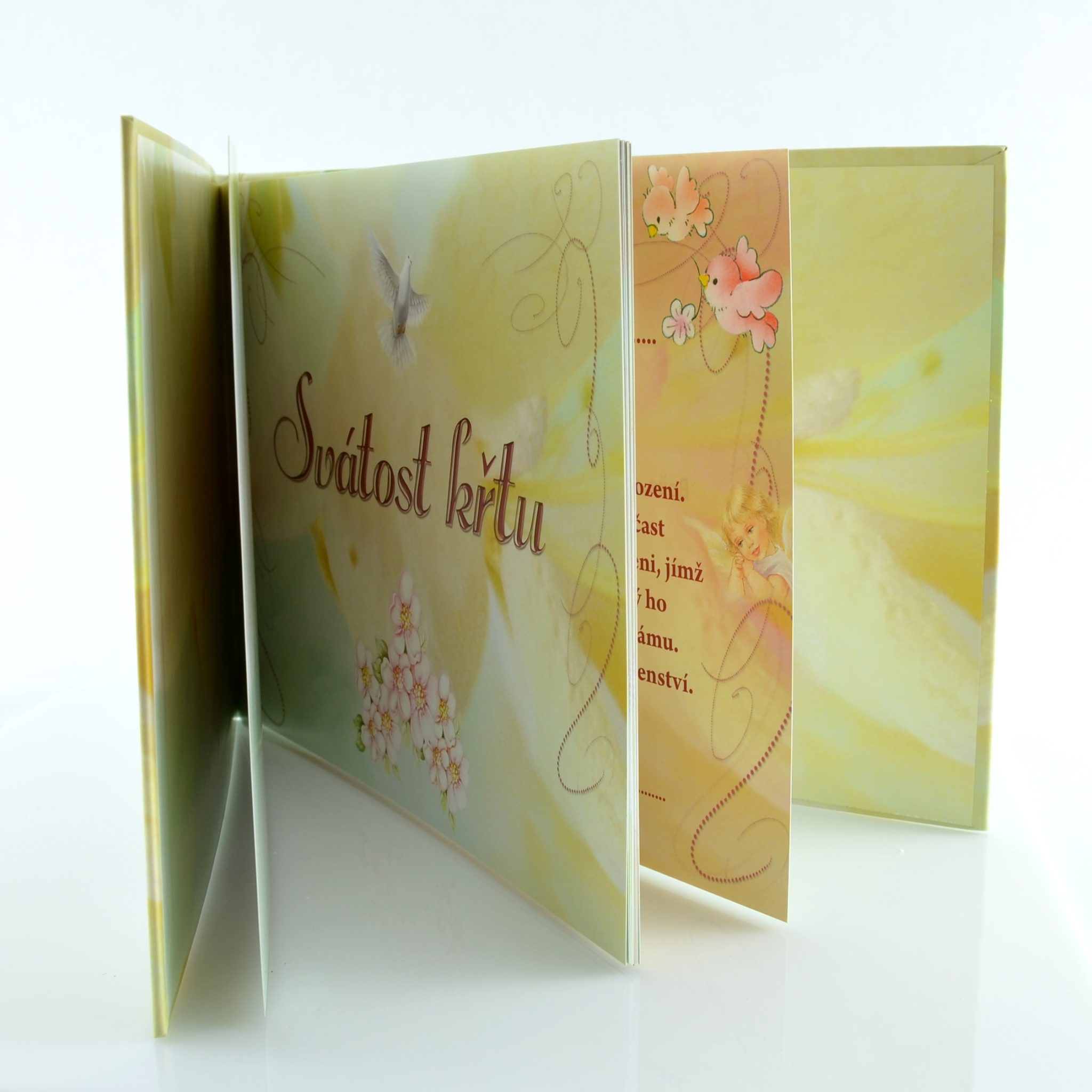 Památníček na křest (k vepsání iniciál, dat a vlepení fotek)