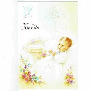 Přání ke křtu: vzor Děťátko s holubičkou
